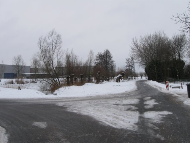 img_5575.jpg