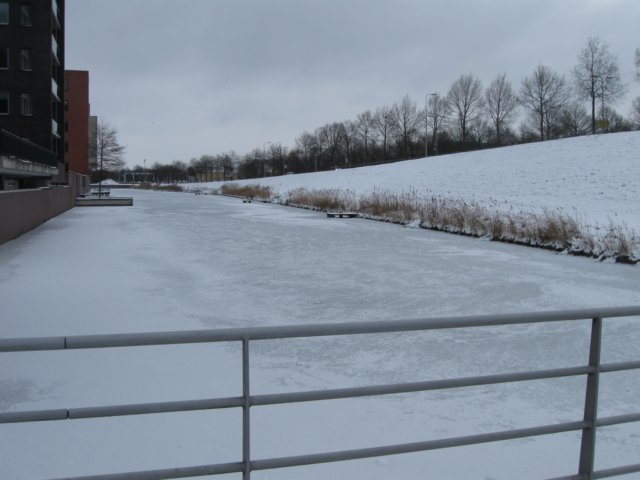 img_5608.jpg