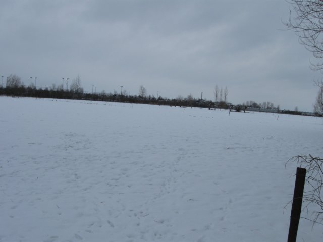 img_5620.jpg