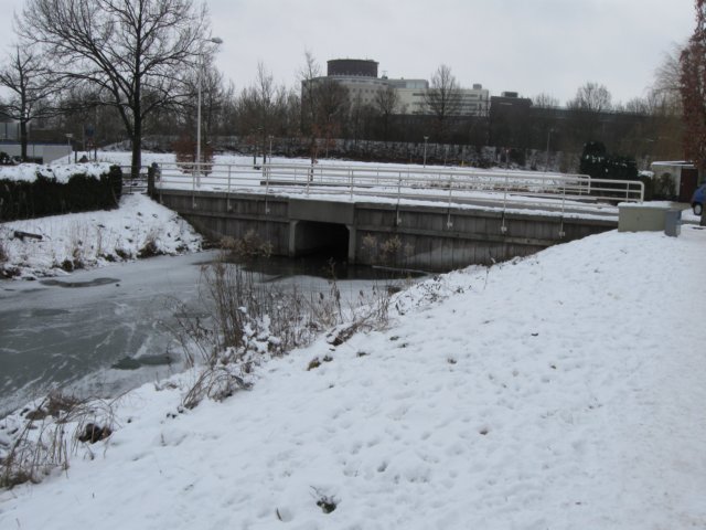 img_5640.jpg