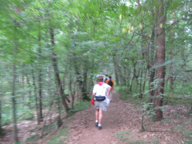img_3431.jpg