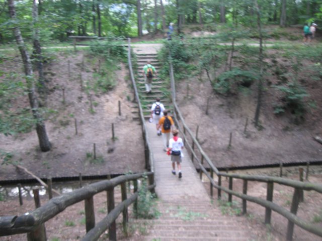 img_3433.jpg