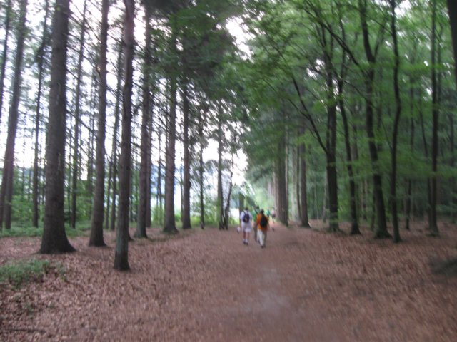 img_3435.jpg