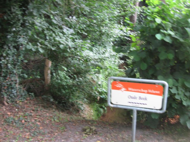 img_3438.jpg