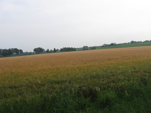 img_3449.jpg