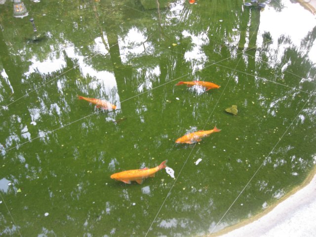 img_3454.jpg