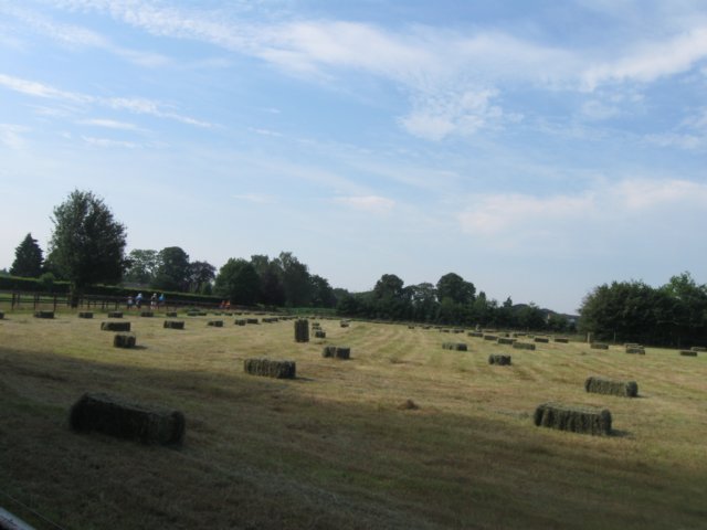 img_3463.jpg