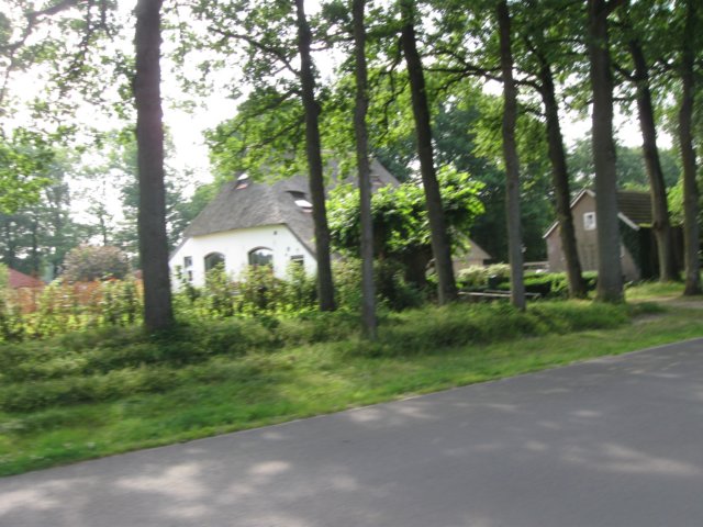 img_3466.jpg