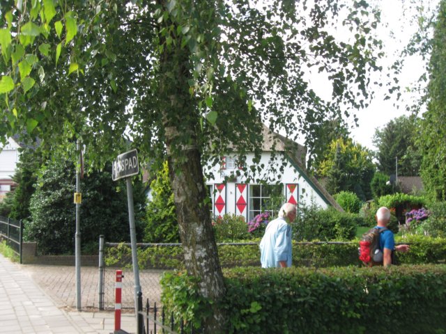 img_3469.jpg