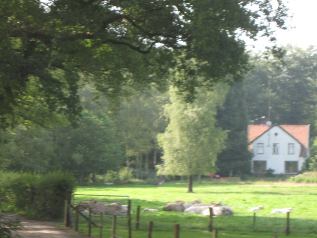img_3470.jpg