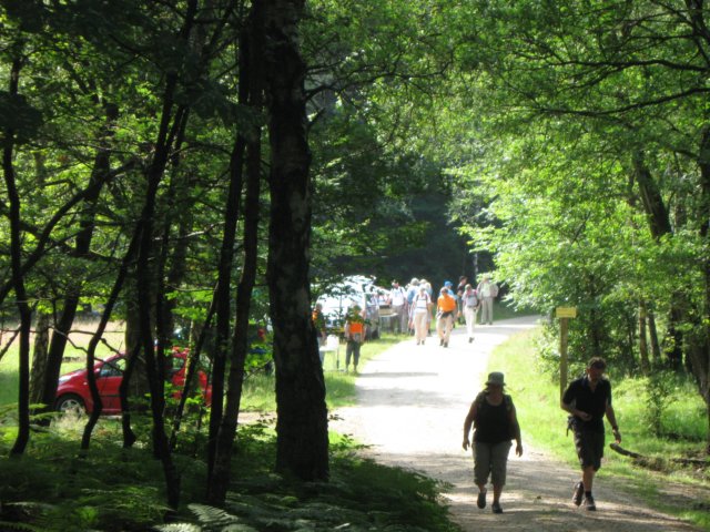 img_3471.jpg