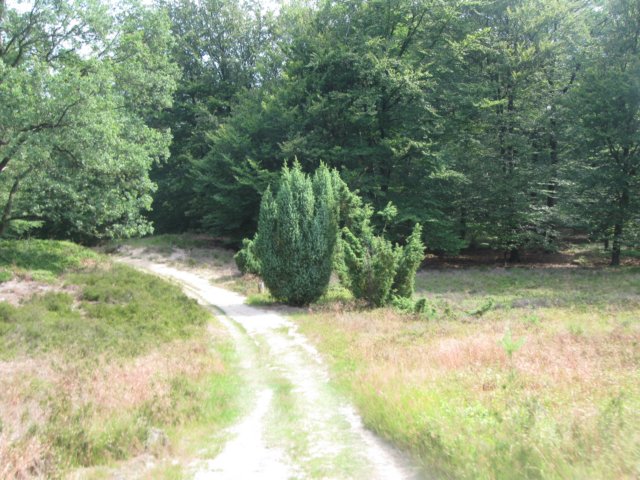 img_3477.jpg
