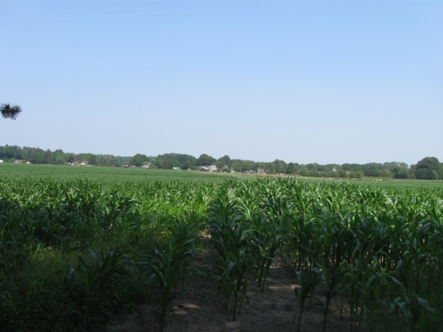 img_3498.jpg