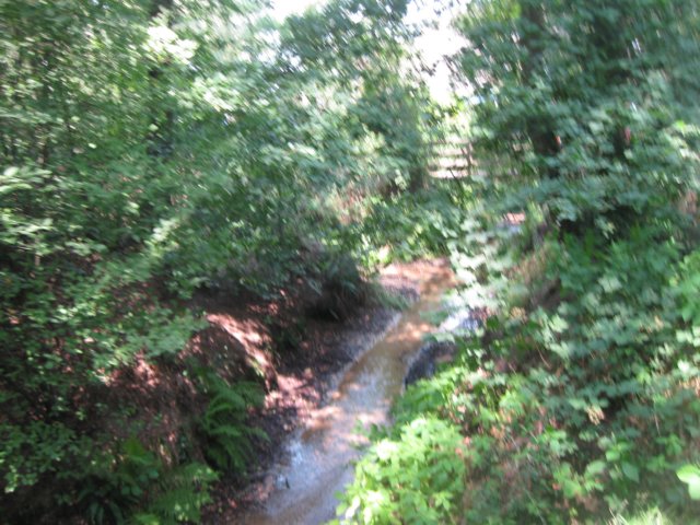 img_3503.jpg