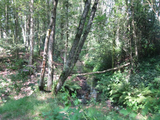 img_3506.jpg