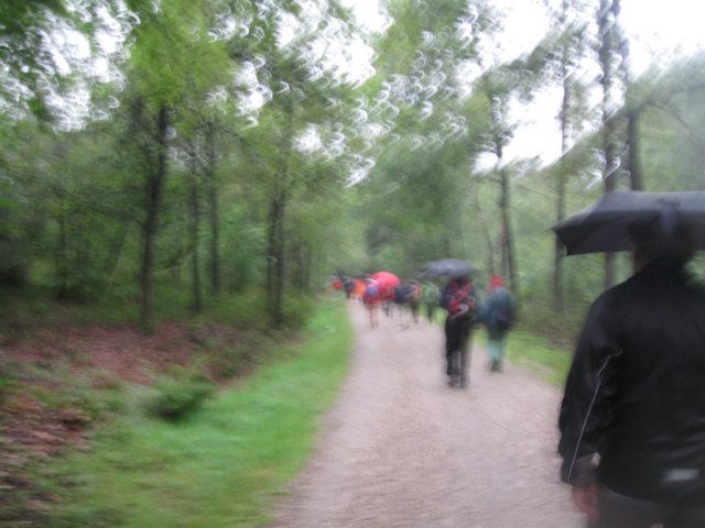 img_3517.jpg