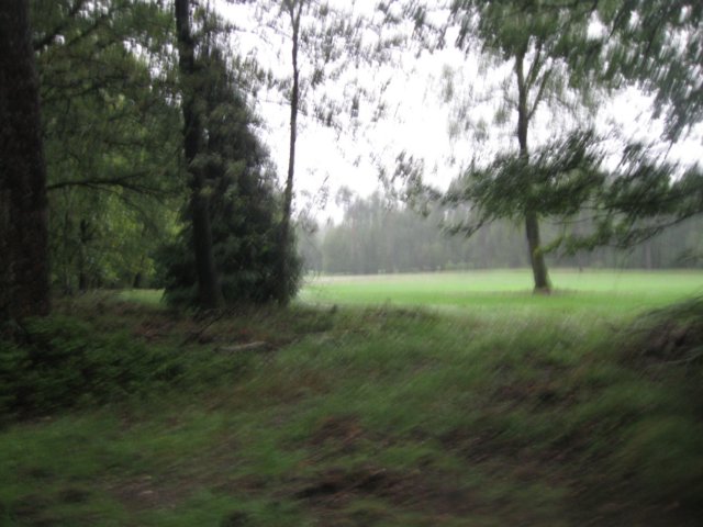 img_3518.jpg