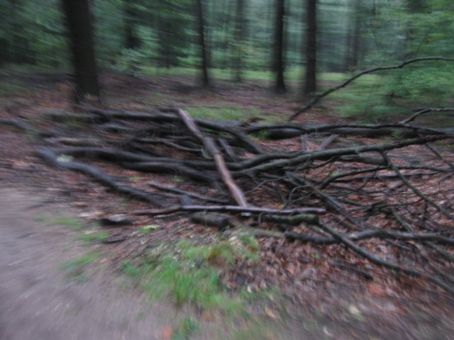 img_3519.jpg