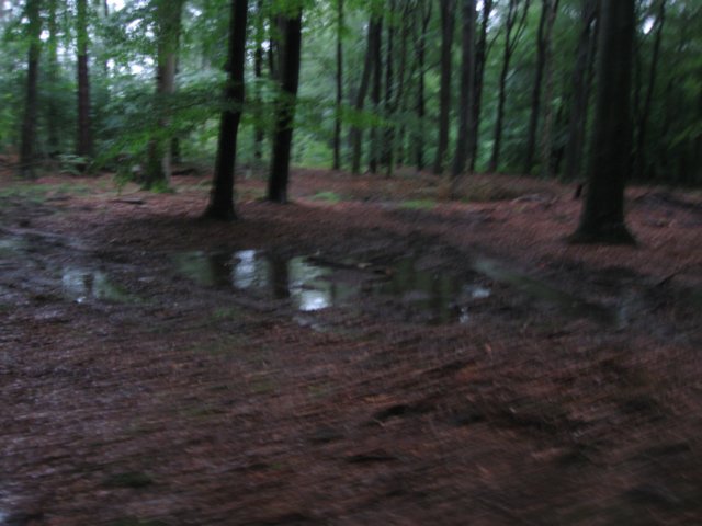 img_3520.jpg
