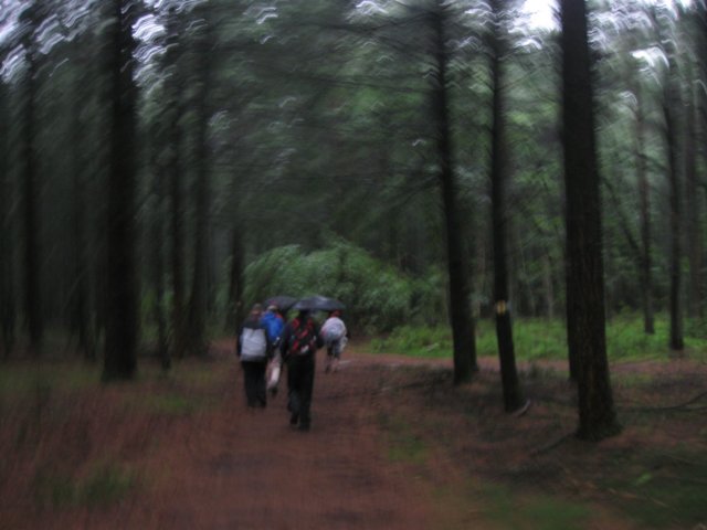 img_3526.jpg