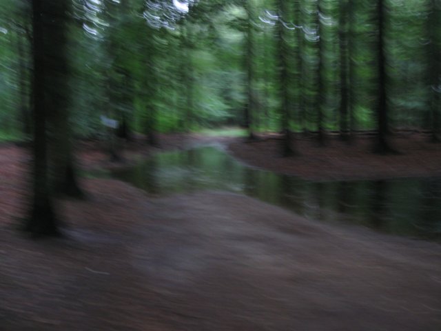 img_3527.jpg