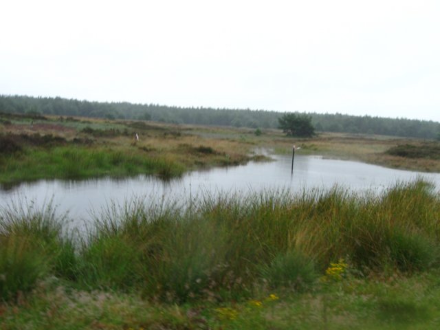 img_3531.jpg