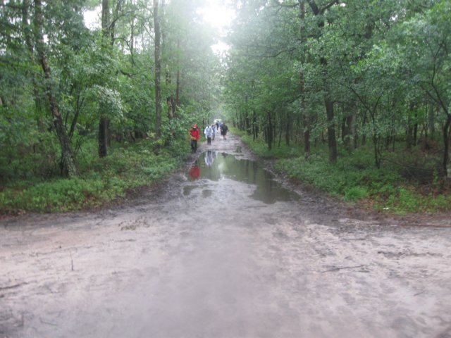 img_3538.jpg