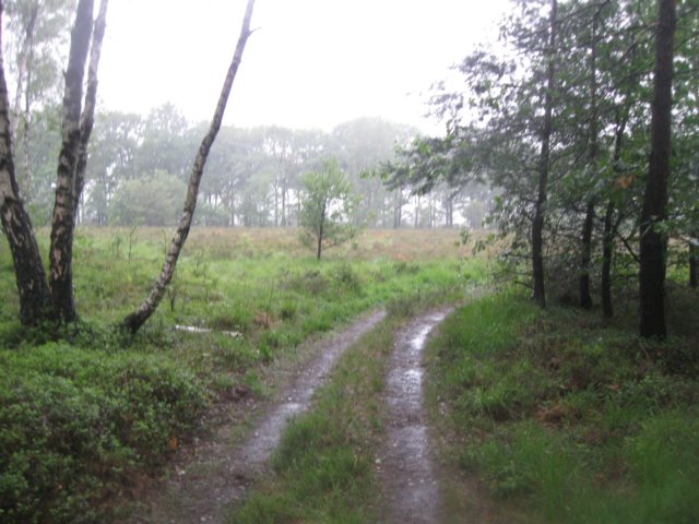 img_3539.jpg