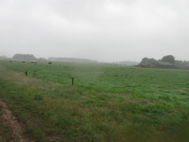 img_3544.jpg