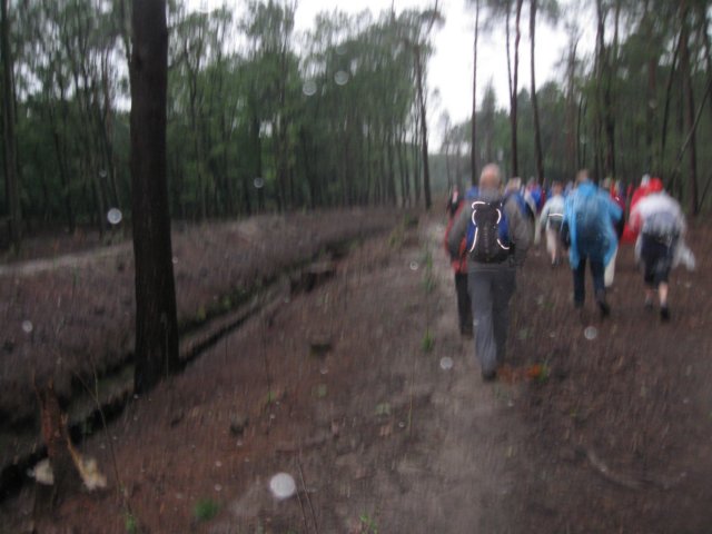 img_3547.jpg