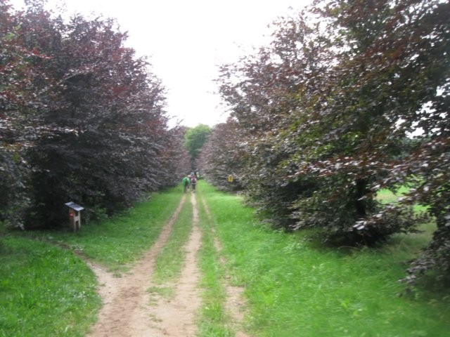 img_3577.jpg