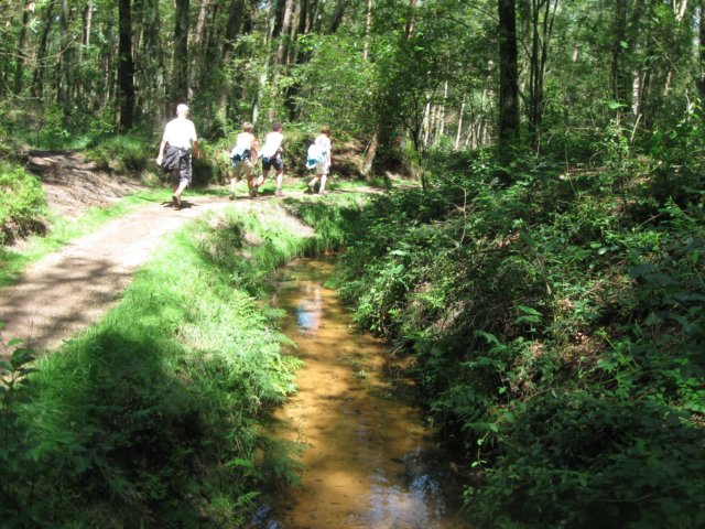 img_3603.jpg