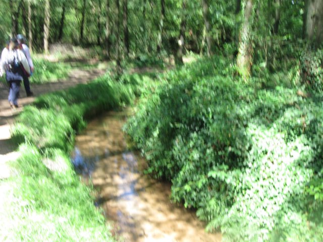 img_3608.jpg