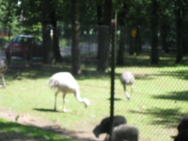 img_3613.jpg