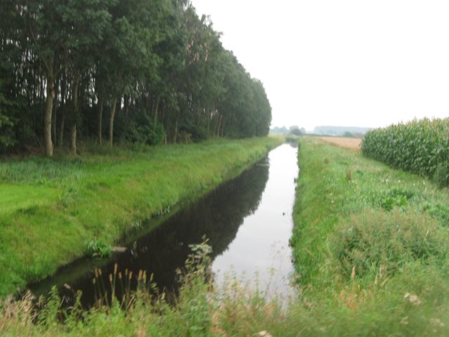img_4817.jpg