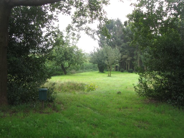 img_4820.jpg
