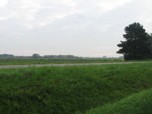 img_4823.jpg