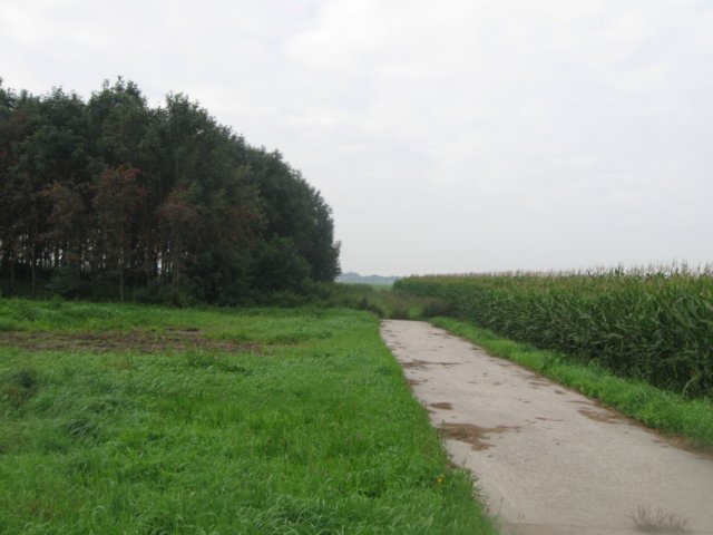 img_4824.jpg