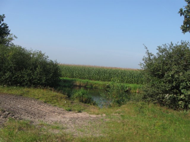 img_4836.jpg
