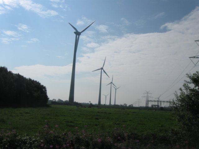 img_4855.jpg