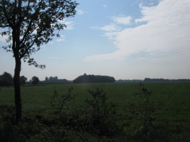 img_4856.jpg