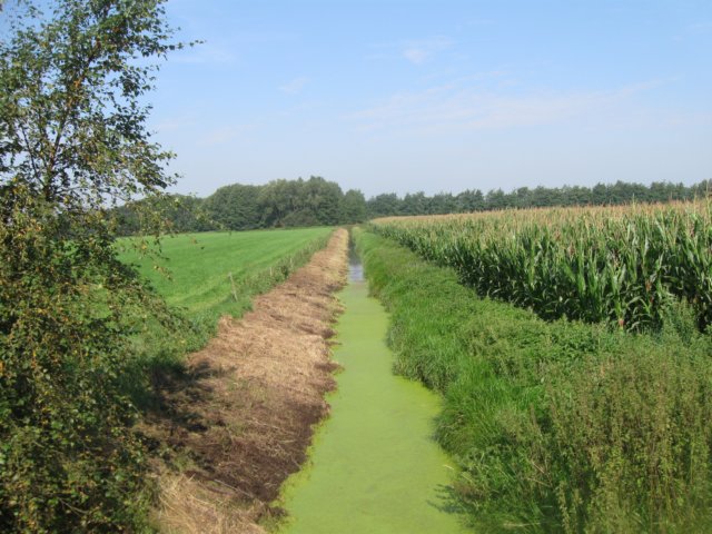 img_4857.jpg