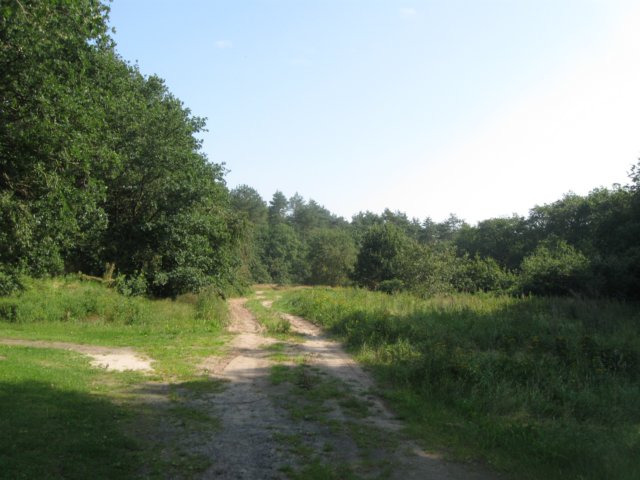 img_4858.jpg