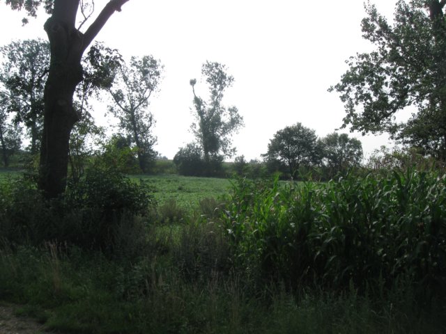 img_4861.jpg