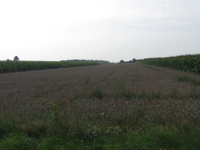img_4863.jpg