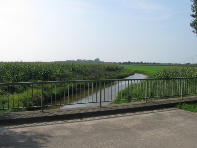 img_4877.jpg