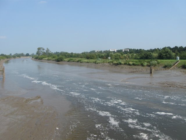 img_4883.jpg