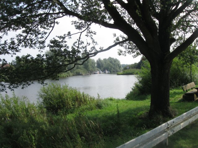 img_4889.jpg