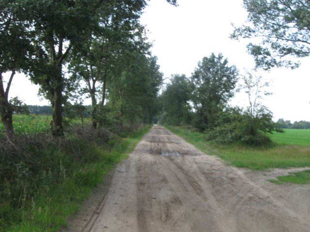 img_4894.jpg