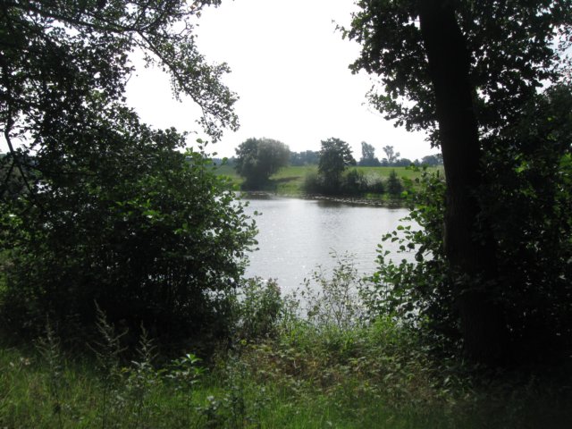 img_4896.jpg